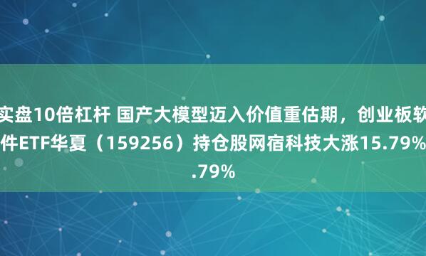 实盘10倍杠杆 国产大模型迈入价值重估期，创业板软件ETF华夏（159256）持仓股网宿科技大涨15.79%