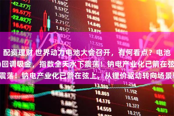 配资理财 世界动力电池大会召开，有何看点？电池ETF汇添富(159796)回调吸金，指数全天水下震荡！钠电产业化已箭在弦上，从锂价驱动转向场景驱动！
